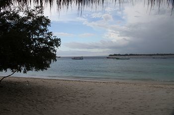 Hotel Vamana Resort