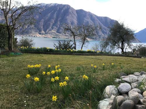 Big Apartment With Lake View And Three Bedrooms
