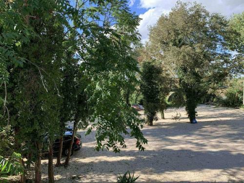Bed & Breakfast Villa Il Selvatico