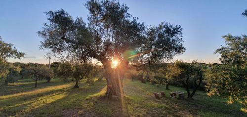 Agroturismo Agriturismo Antico Podere Il Polveraio