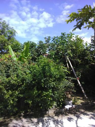 Apartamento Garden Family Getaway