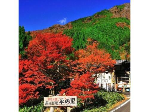 Hotel Sun Ocean - Vacation Stay 84244