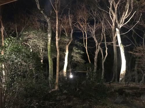 Hakone Ashinoko Toranoyu