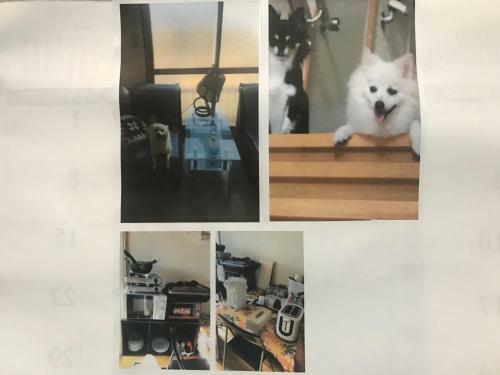 Apartamento Stay Akeboshi Museum / Vacation Stay 4676