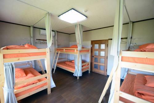Hostal Kochi - House - Vacation Stay 96172