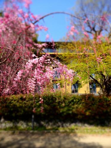 Hotel Diamond Kyoto Society