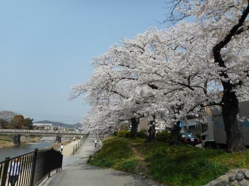 Apartamentos Ikoi Demachiyanagi