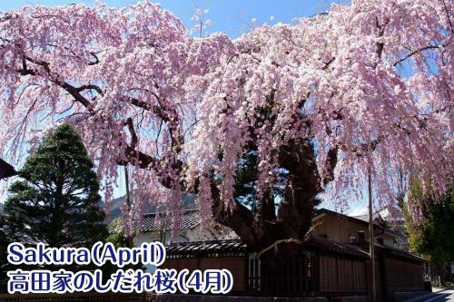 Hostal Nikko Stay House Arai - Vacation Stay 13830v