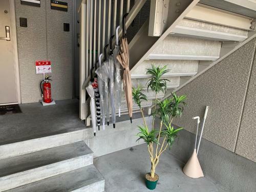 Apartamento Sejour Toyohirakoen
