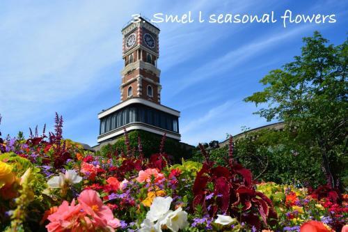 Apartamento Le Soleil / Vacation Stay 1285