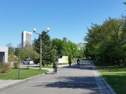 Apartamentos Cozy And Convenient Royal Heights
