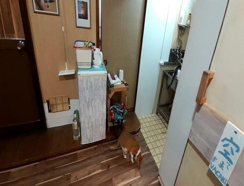 Hostal Tomi - Vacation Stay 10557
