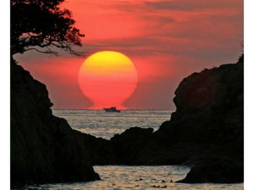 Hotel Avan Sukumo - Vacation Stay 94473