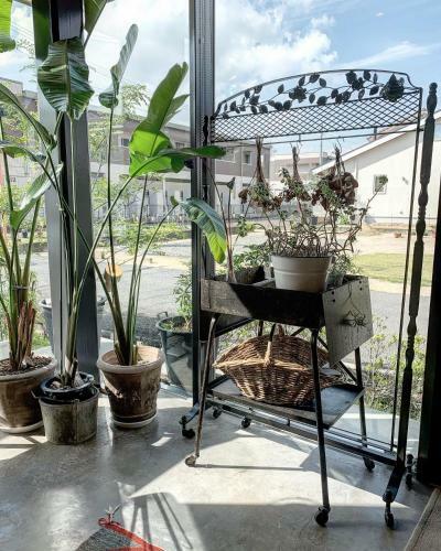 Hostal Maison De Stuffmarket