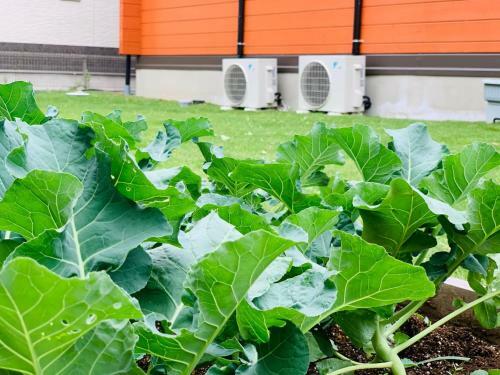 Hostal Tantei / Vacation Stay 5504