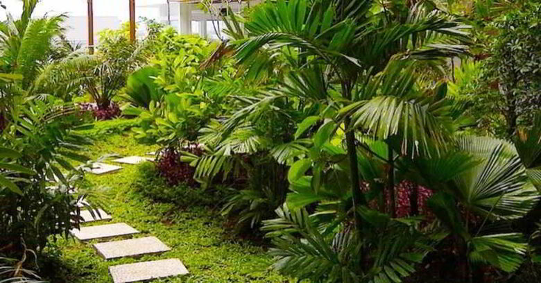 Hotel Jambuluwuk Malioboro Jogja