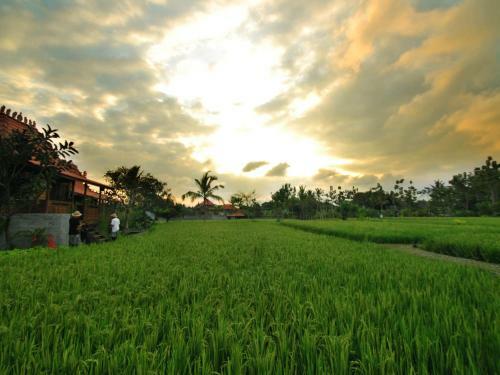 Kajane Yangloni At Ubud Bali