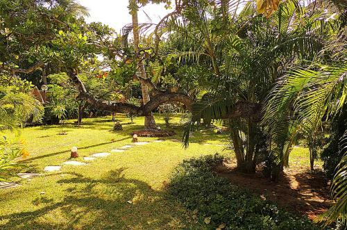 Lions House Luxury Villa