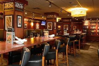 Hotel Holiday Inn Chicago Oakbrook