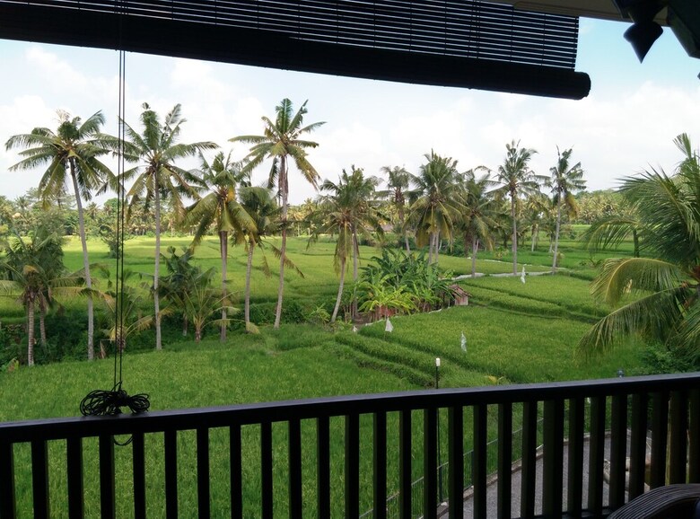 Green Field Hotel And Restaurant