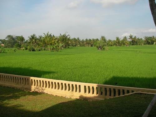 Green Field Hotel And Restaurant