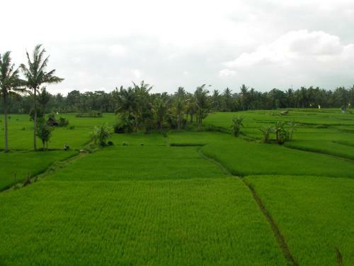 Green Field Hotel And Restaurant