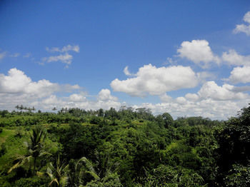 Bali Rich Luxury Villas & Spa Ubud