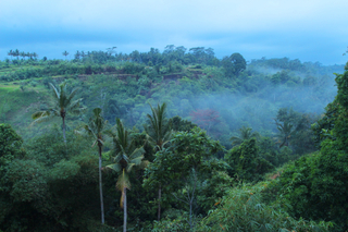 Bali Rich Luxury Villas & Spa Ubud