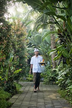 Bayad Ubud Bali Villa