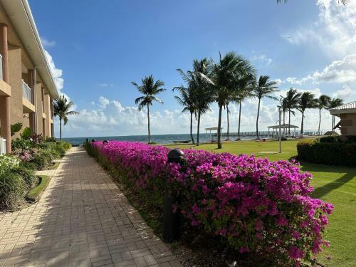 Hotel Grand Caymanian Resort