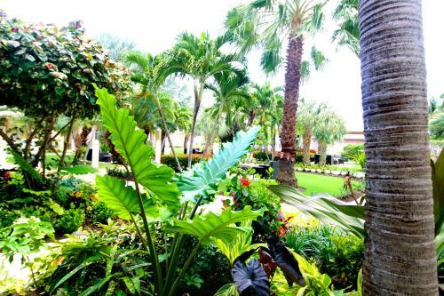 Hotel Grand Caymanian Resort