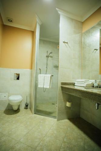 Hotel Aner