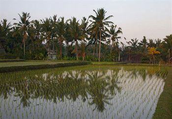 Hostal Gusti's Garden Bungalows