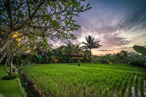 Hostal Bliss Ubud Spa & Bungalow