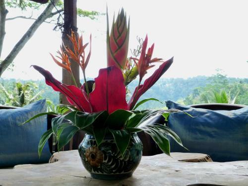 Hostal Green Spirit Villa