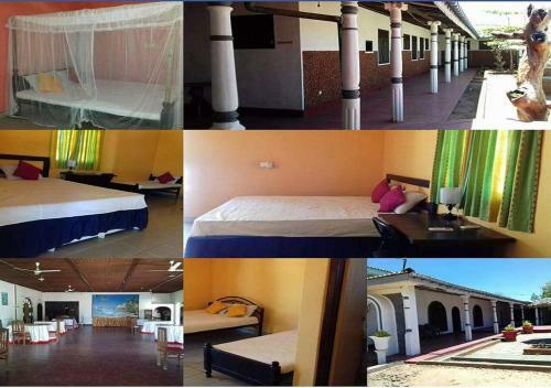 Hotel Sea Green Kalpitiya