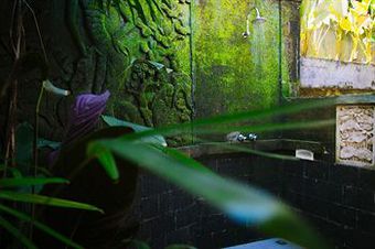 Villa Awang Awang