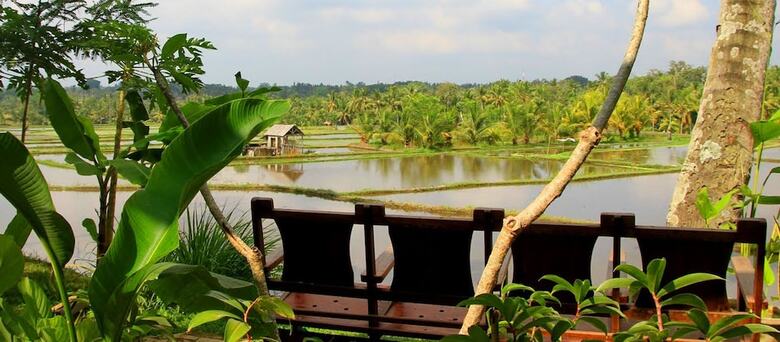 Hostal Omah Apik