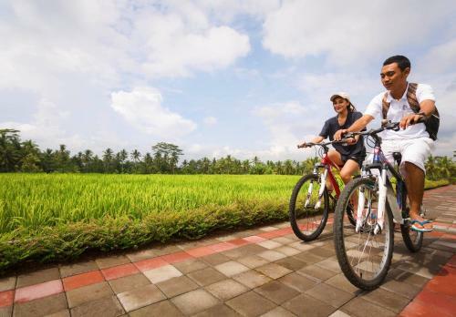 Manyi Village Ubud