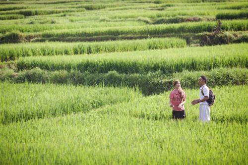 Manyi Village Ubud
