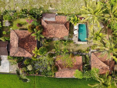 Hostal Rumah Sungai Villa