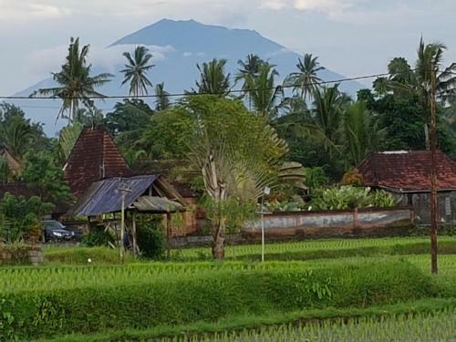 Hostal Rumah Sungai Villa