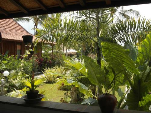 Hostal Rumah Sungai Villa