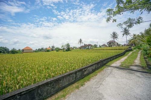 Hostal Rumah Sungai Villa