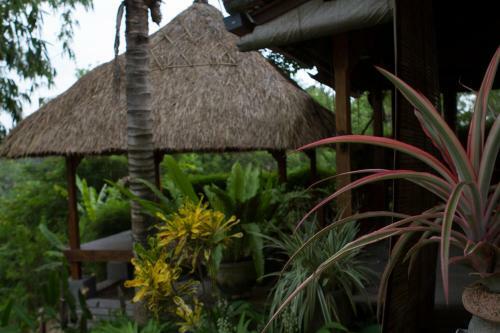 Hostal Rumah Sungai Villa