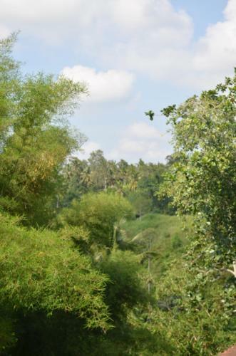 Hostal Wijaya Guest House Ubud