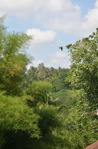 Hostal Wijaya Guest House Ubud