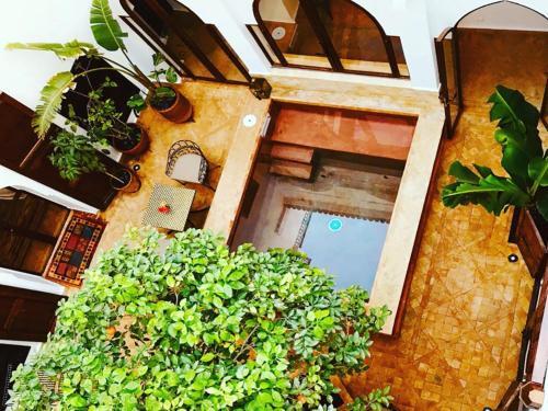 Bed & Breakfast Le Patio Secret Marrakech
