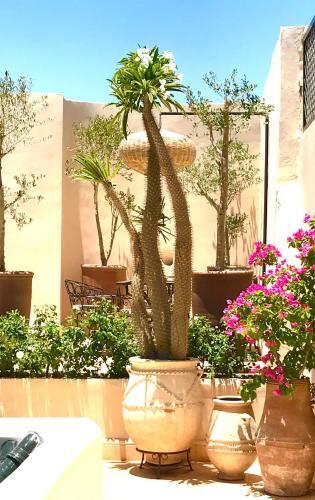 Bed & Breakfast Le Patio Secret Marrakech