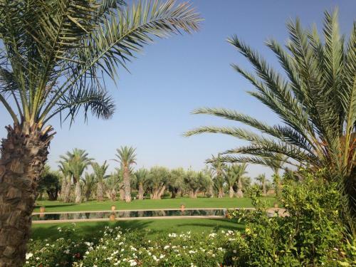 Hostal Marrakech Retreat By La Siredrah
